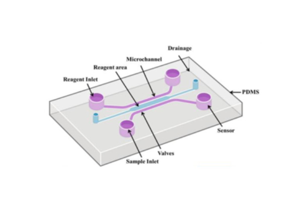 Microfluidic Chips