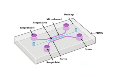 Microfluidic Chips